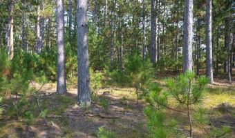 Lot 11 W 16th Court, Arkdale, WI 54613