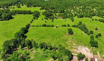 210 County Road 320, Alton, MO 65606
