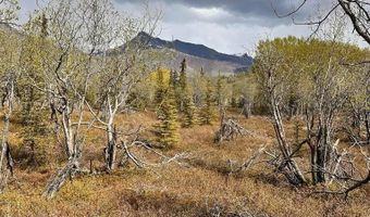 B005 S Packsaddle Road, Chickaloon, AK 99674