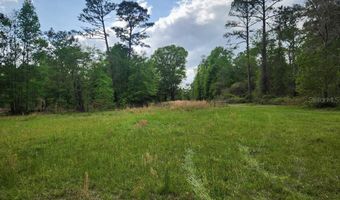 4611 NW 244TH Ave, Alachua, FL 32615