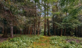 0 Weidick Rd, Andes, NY 13731