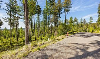 162 Trading Post Trl, Bigfork, MT 59911