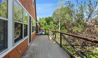 711 Evans Ct, Basalt, CO 81621