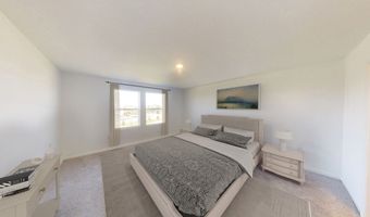 939 King Eider, Adkins, TX 78101