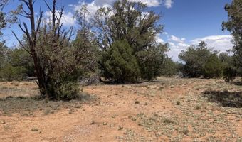 00 Off Of Rainy Rd, Ash Fork, AZ 86320