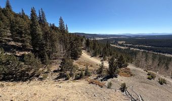 0 County Road 787, Alma, CO 80420