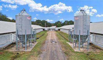 11695 E Old Belleville Rd, Belleville, AR 72824