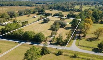 12119 NW 122ND Ter, Alachua, FL 32615