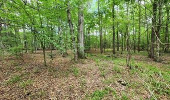 Tbd NE Bahalia Road, Brookhaven, MS 39601