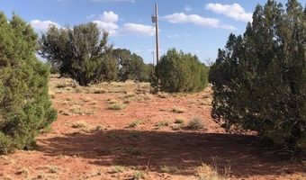 Tbd WICKED SISTERS, Concho, AZ 85924