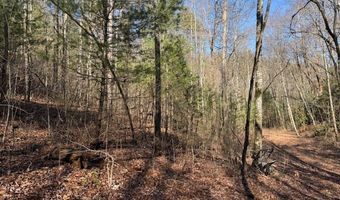 1834 Bristol Ave, Andrews, NC 28901