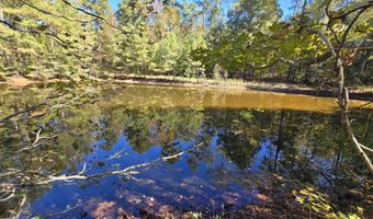 7501 Rainey Morris Rd, Appling, GA 30802