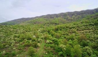 Tbd Clear Fork Creek Road, Bastian, VA 24314