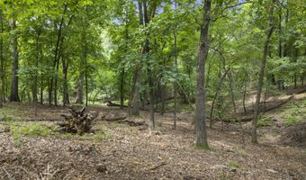 TBD Pheasant Circle, Afton, OK 74331