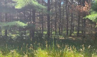 Lot 114 County Road Z, Arkdale, WI 54613