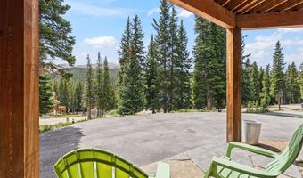 229 Lee Ln, Breckenridge, CO 80424