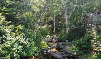 Lot 9-1 Black Duck Cove Road, Beals, ME 04611