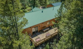 11109 County Road 742, Almont, CO 81210