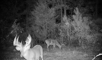 001 Farr Rd, Bolton, MS 39041