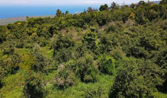 84-1178 Telephone Exchange, Captain Cook, HI 96704