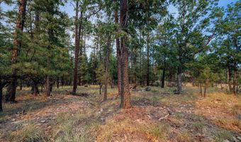 6 Co Rd 2074, Alpine, AZ 85920