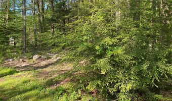 99 ACRE ROCK Ldg, Accident, MD 21520