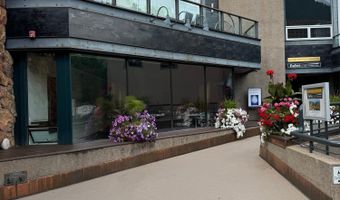 620 E Hyman Ave 2, Aspen, CO 81611