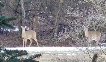 1203 ASHMEAD Sq, Belcamp, MD 21017