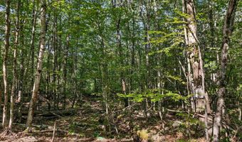 Chamberlain Road lot 11, Alton, NH 03809