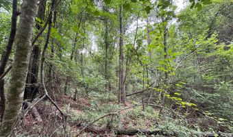 32477 Chapel Pine Drive Lot Cdt3, Albany, LA 70711