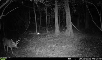 Putnam Road, Belzoni, MS 39038