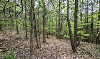 Stewart Road, Addison, NY 14801
