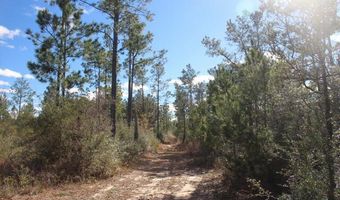 5015 NW County Road 274, Altha, FL 32421
