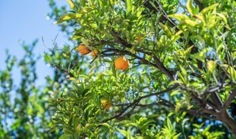 1148 Belleza St, Camarillo, CA 93012