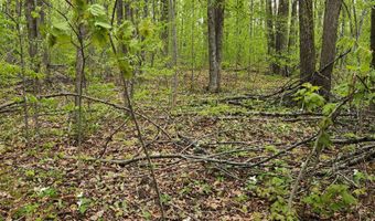 Valleyridge Circle, Alba, MI 49611