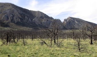 Ranger Way lot Bvr 942-3, Belfry, MT 59008