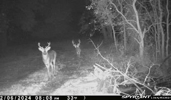1226 Joe Kidder Rd, Arnaudville, LA 70512