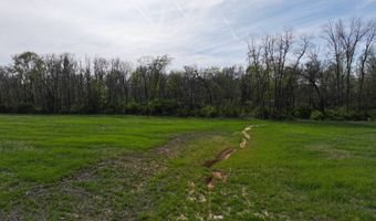 County Road 450 N, Albion, IL 62806