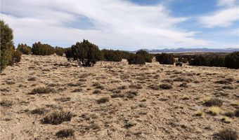 15 County Rd N8641, Concho, AZ 85924