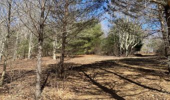 L21.1 Alder Pond Road, Andes, NY 13740