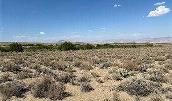 780 DAVIS MEADOW Trl, Dyer, NV 89010