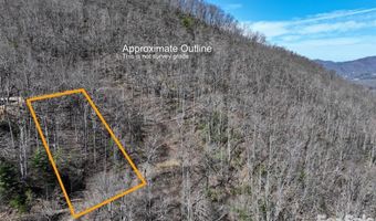11 Taryn Trce 16, Barnardsville, NC 28709