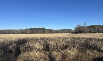 0 Bivalve Lodge Rd, Bivalve, MD 21814