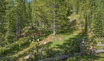 383 Red Lion Rd, Anaconda, MT 59711