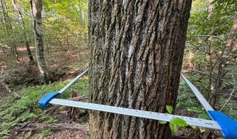 0 Military Rd, Beaverton, AL 35544