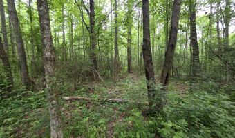 1542 Wellman Dr, Brookhaven, MS 39601