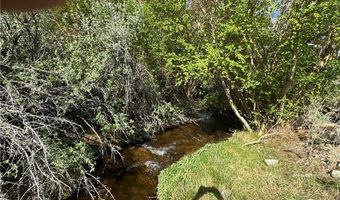 325 Davis Meadow Trl, Dyer, NV 89010