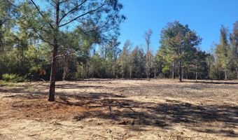 Tommy Tucker Road lot 2, Altha, FL 32421