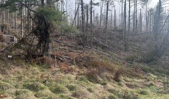 99999 White Pine Ln, Bakersville, NC 28705