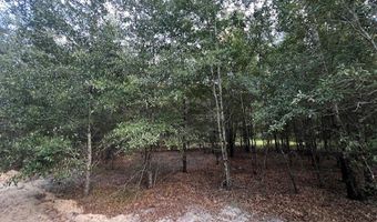 4899 36th St, Bell, FL 32619